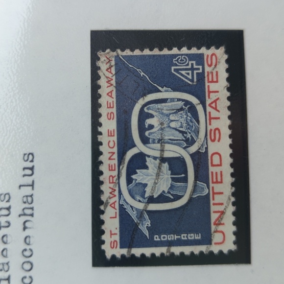 Bald Eagle Home Design Stamp Set - Picture 3 of 5